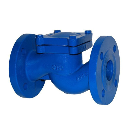 Клапан обратный подъемный для сточных вод фланц. DN25, PN16, ADL ГРАНЛОК RD16, чугун, затвор-сталь н