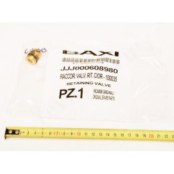 RETAINING VALVE, Baxi