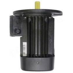 Электродвигатель MG080A 230/400-4 .55KW B05-19 / spare, Grundfos