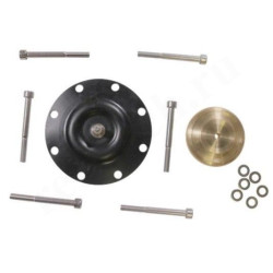 Комплект мебраны Kit,diaph DMX226-460  PTFE