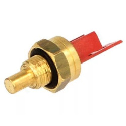 NTC-датчик (-40c to 110c), Protherm